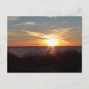 Carte Postale Coucher de soleil sur l'île de Chincoteague.