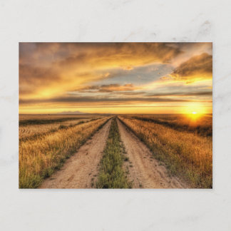 Carte Postale Coucher de soleil sur une route de campagne