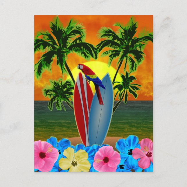 Carte Postale Coucher de soleil tropical (Devant)