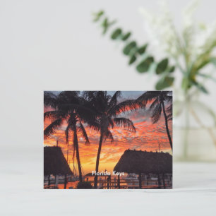 Carte Postale Coucher de soleil tropical dans les Florida Keys