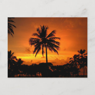 Carte Postale Coucher de soleil tropical étonnant