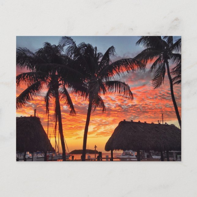Carte Postale Coucher de soleil tropical Florida Keys (Devant)