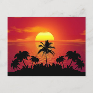 Carte Postale Coucher de soleil tropical Palmiers Silhouette Pla