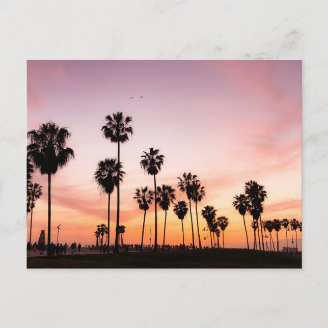 Carte Postale Coucher de soleil (Venice Beach, CA) (Devant)