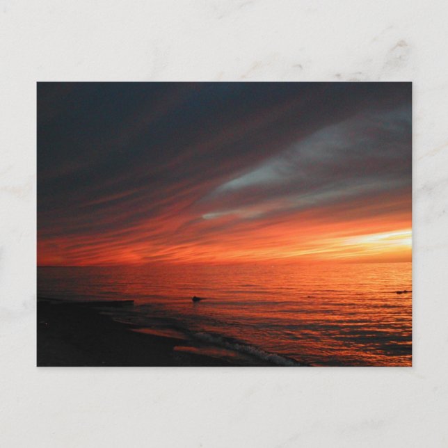 Carte Postale Coucher de soleil vermillon 062907 (Devant)