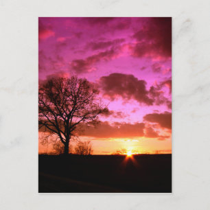Carte Postale Coucher de soleil violet