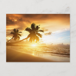 Carte Postale Coucher du soleil