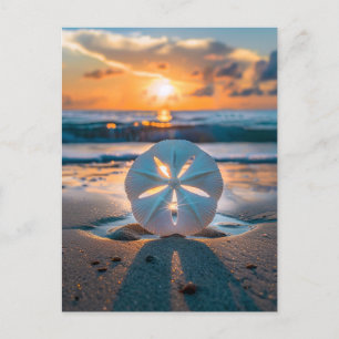 Carte Postale Coucher du soleil à travers le dollar du sable