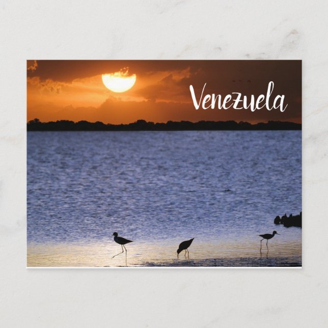 Carte Postale Coucher du soleil au Venezuela (Devant)