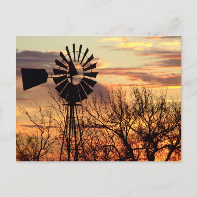 Carte Postale Coucher du soleil de moulin à vent du Texas (Devant)