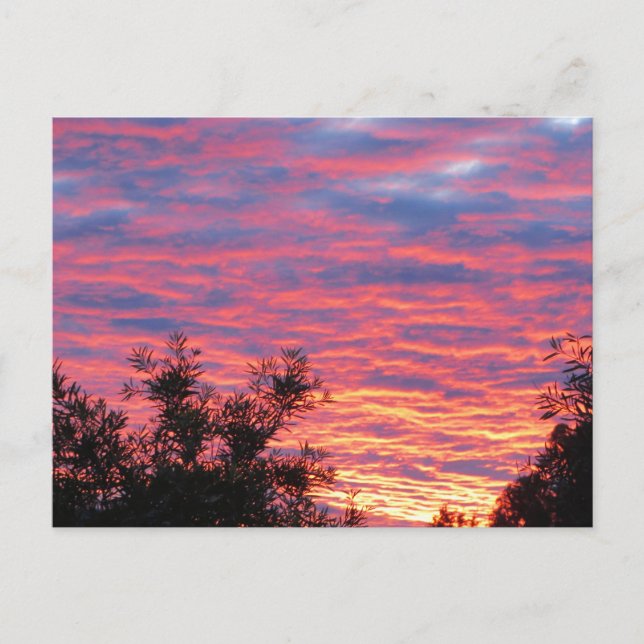 Carte Postale Coucher du soleil d'été (Devant)
