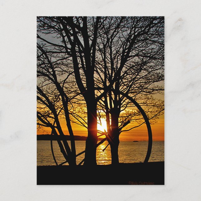 Carte Postale Coucher du soleil par l'art (Devant)