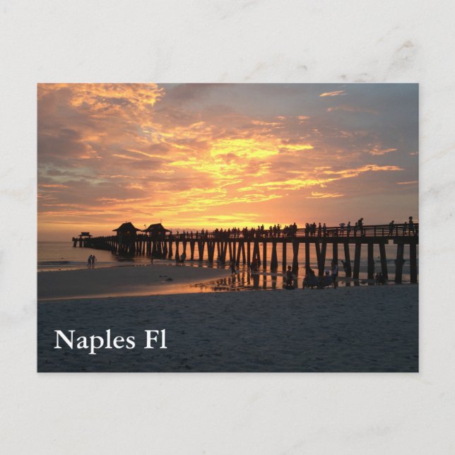 Carte Postale coucher du soleil photo fl naples (Devant)