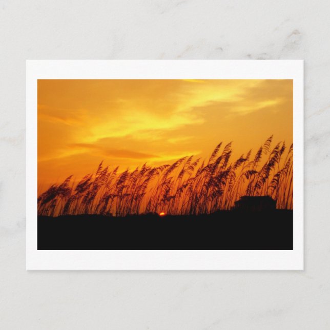 Carte Postale Coucher du soleil sur coucher du soleil (Devant)