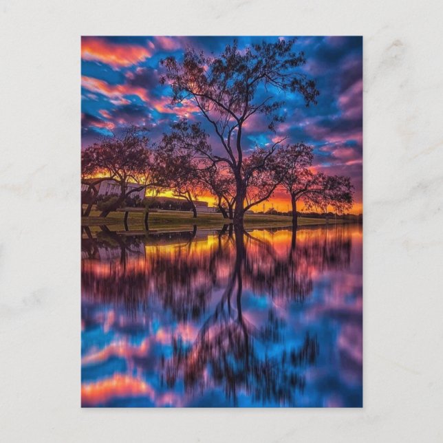 Carte Postale Couchers de soleil colorés (Devant)