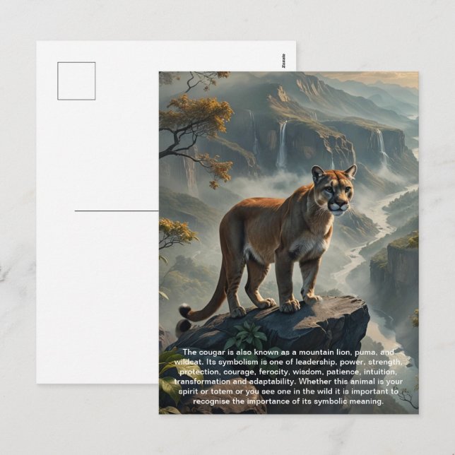 Carte postale Cougar (Devant / Derrière)