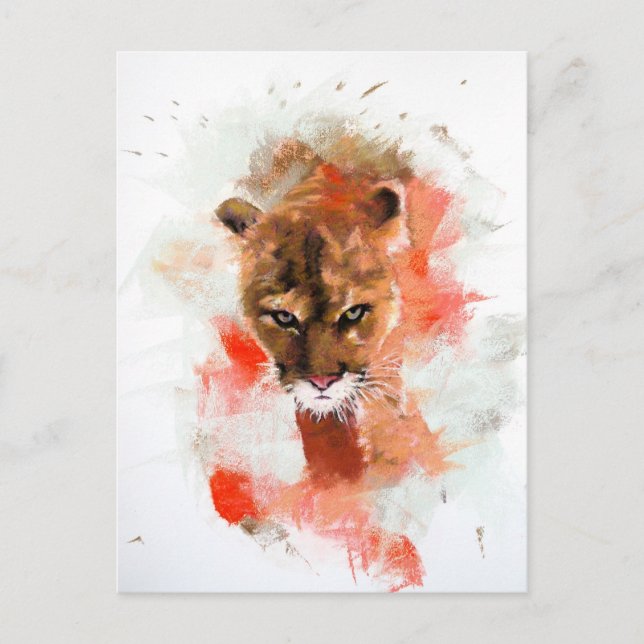Carte Postale Cougar (Devant)