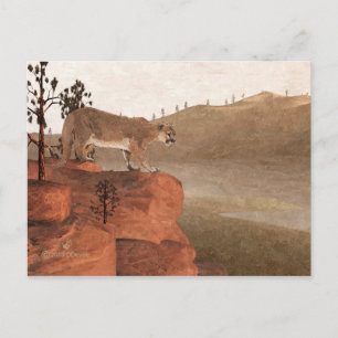 Carte Postale Cougar - Concentration