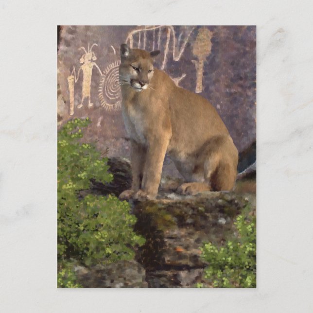 Carte Postale Cougar et pictographes (Devant)