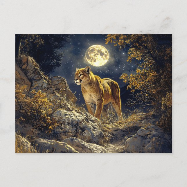 Carte Postale Cougar in the Moonlight Wildlife Art (Devant)