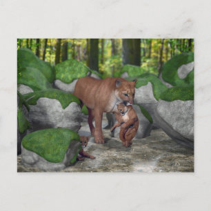 Carte Postale Cougar Mère Portant Cub