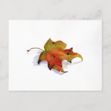 Carte postale Couleur aquarelle automne