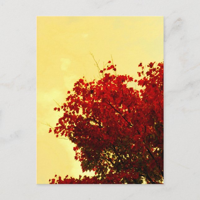 Carte Postale Couleur d'automne (Devant)