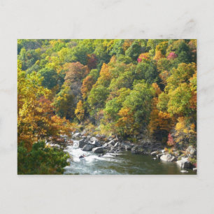 Carte Postale Couleur d'automne dans le parc d'état d'Ohiopyle