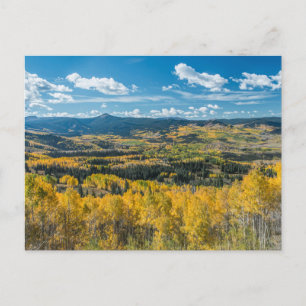 Carte Postale Couleur d'automne dans les Flat Tops   Forêt natio