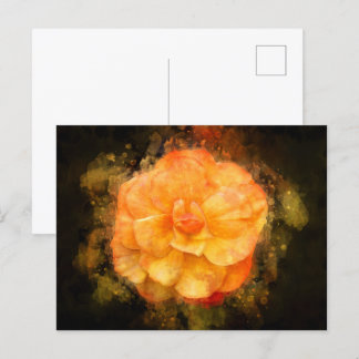 Carte Postale Couleur de fleur de Begonia - bb2