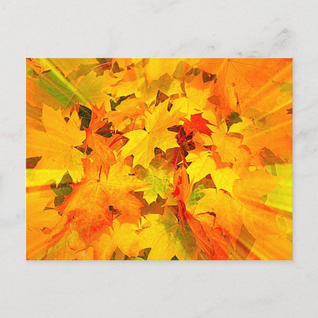 Carte Postale Couleur des feuilles automnales Couleurs automnale (Devant)