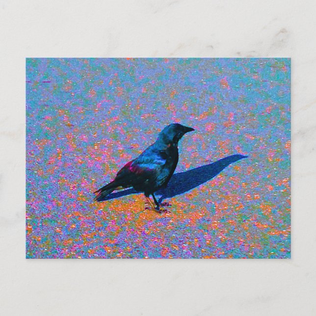 Carte Postale Couleur du corbeau (Devant)
