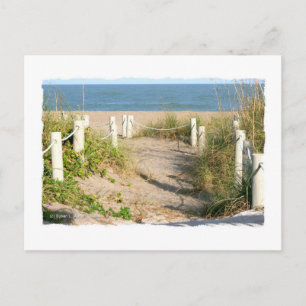 Carte Postale Couleur Florida Beach Dune Rope Walk Photo