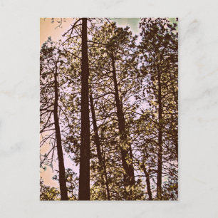 Carte Postale couleur par les arbres
