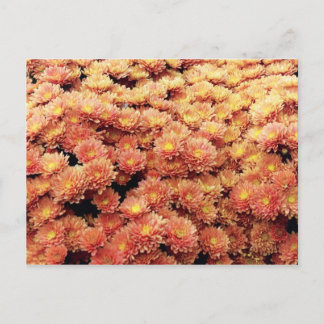 Carte Postale Couleur rouille