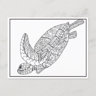 Carte postale Couleur tortue de mer