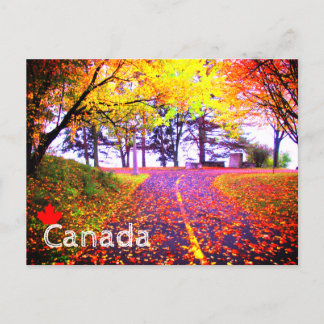 Carte Postale Couleurs brillantes Automne Vélo Chemin Canada Sou
