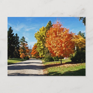 Carte Postale Couleurs d'automne à Cincinnati