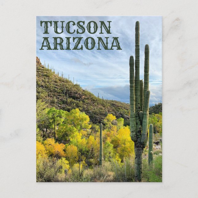 Carte Postale Couleurs d'automne Canyon Saguaro Sabino (Devant)