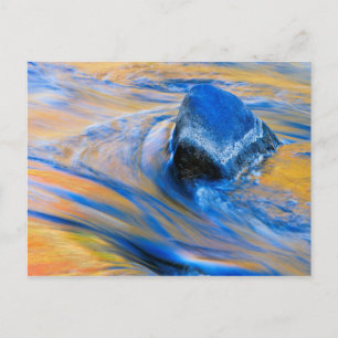 Carte Postale Couleurs d'Automne Eau Abstrait