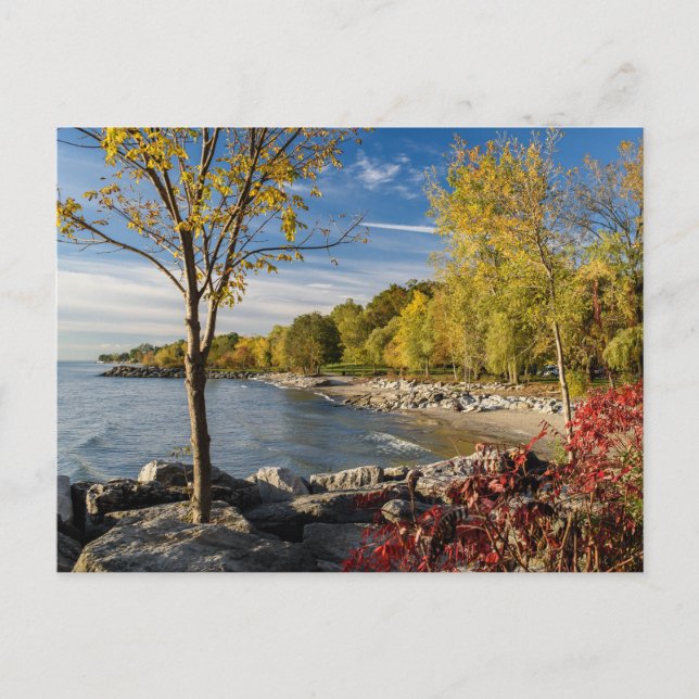 Carte Postale Couleurs d'automne, Rive du lac Ontario, Canada (Devant)