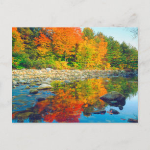 Carte Postale Couleurs d'automne se reflétant dans un ruisseau d