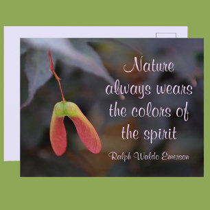Carte Postale Couleurs de l'Esprit Emerson Citation