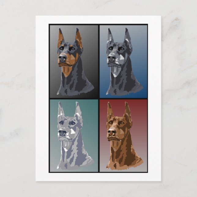 Carte Postale Couleurs Doberman (Devant)