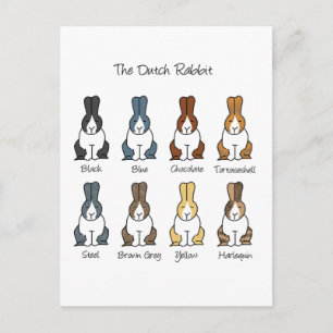 Carte Postale Couleurs hollandaises de lapin