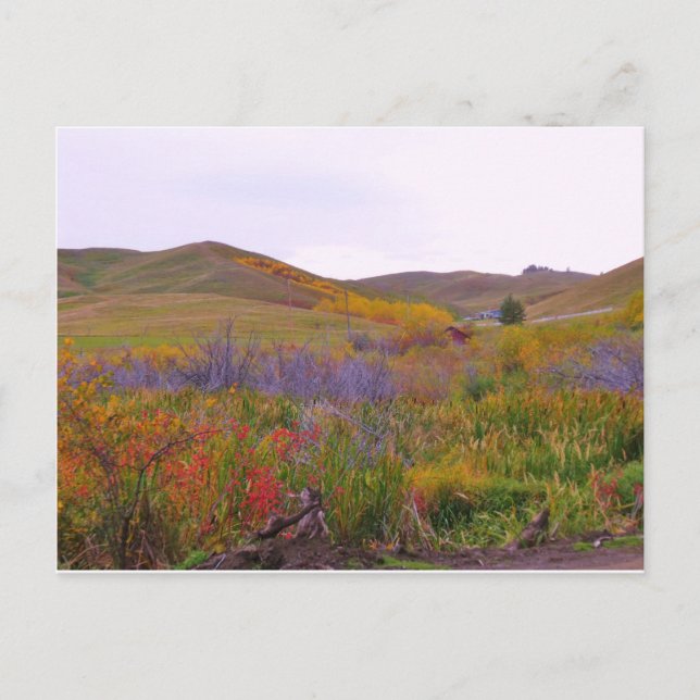 Carte Postale Couleurs montagneuses (Devant)
