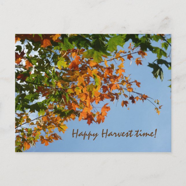 Carte Postale Couleurs septembre (Devant)