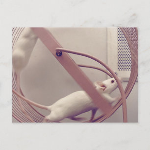 Carte Postale Coupe de roue