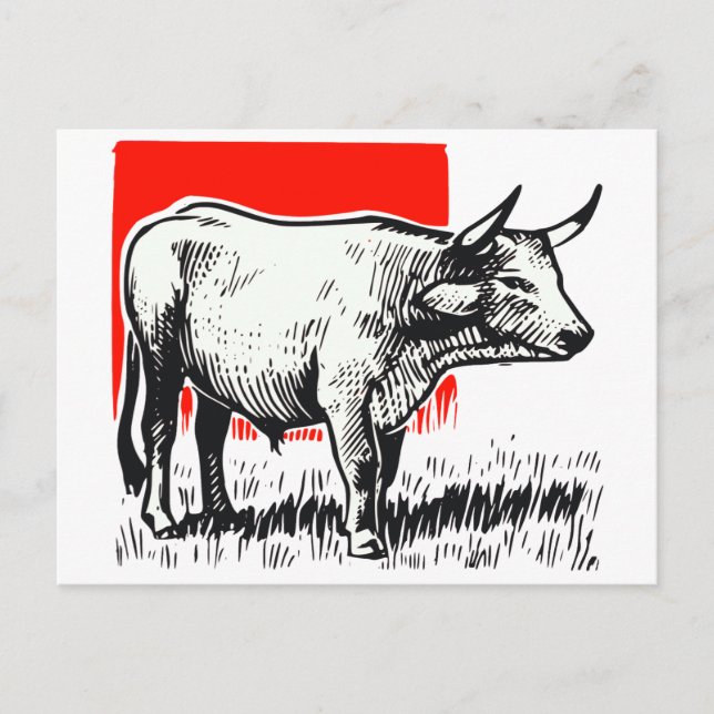 Carte Postale Coupe de vache (Devant)