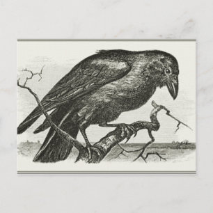 Carte Postale Coupe vintage de corbeau